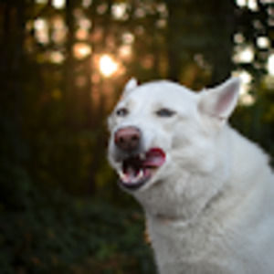 Meet your Posher, Ashlyn